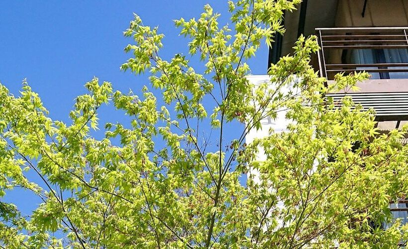 فندق Gyozantei Yamabuki