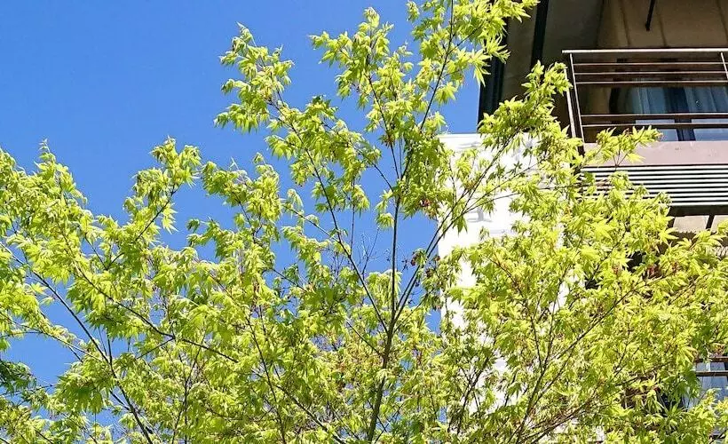 Hotelli Gyozantei Yamabuki