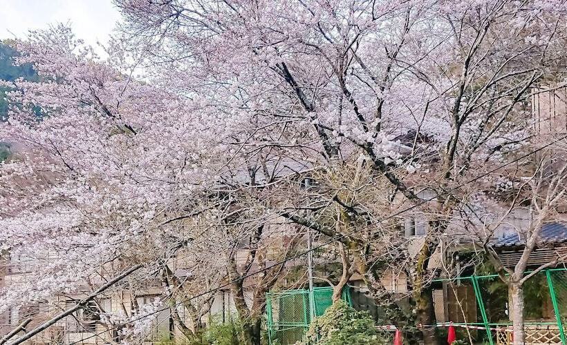 فندق Gyozantei Yamabuki