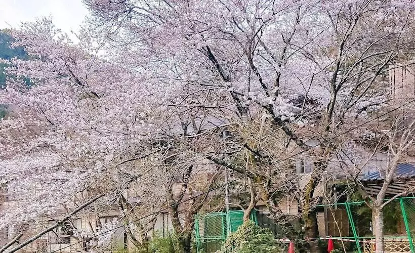 Hotelli Gyozantei Yamabuki