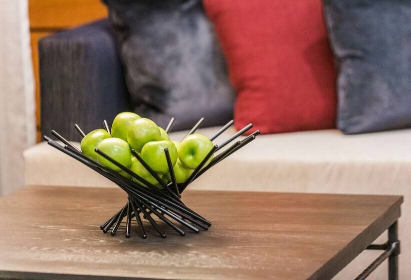 فندق Hyatt Place Greenville/downtown