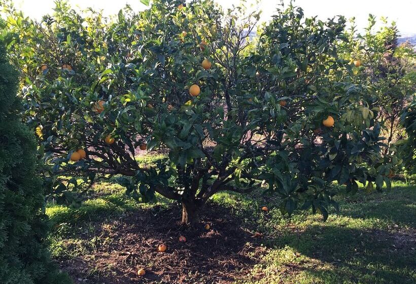 בית מלון כפרי Sintra Rural Home Cerrado Da Serra