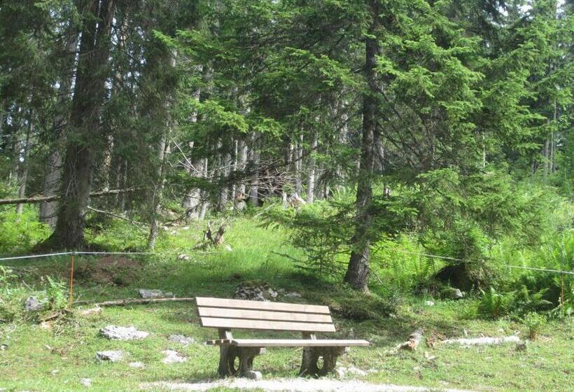 Hotel Sonnhof Reit Im Winkl