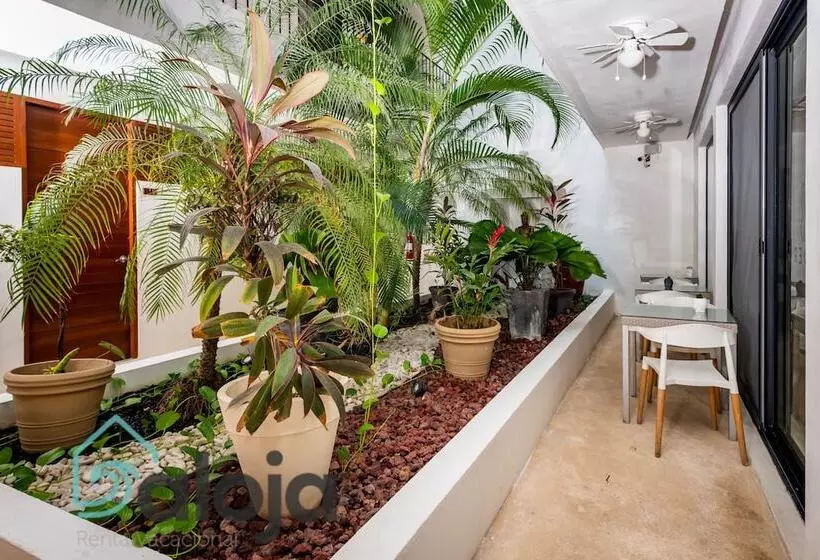 هتل Zendero Tulum & Free Beach Club