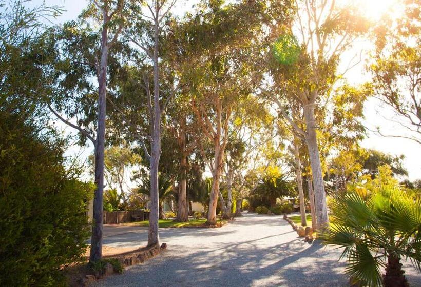 هتل Modra's Apartments