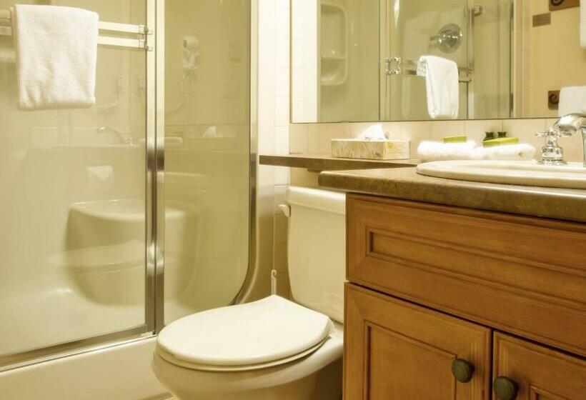 استراحتگاه Snow Creek Lodge By Fernie Lodging Co