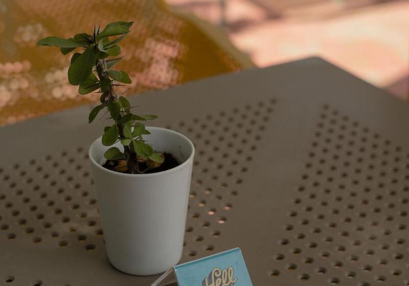 ホテル Coco Hacienda Tulum  Adults Only