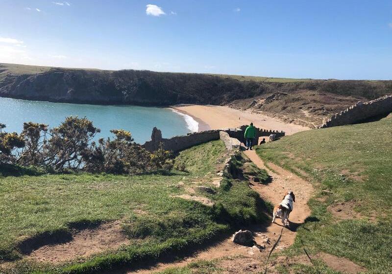 ホテル Elm Grove Country House