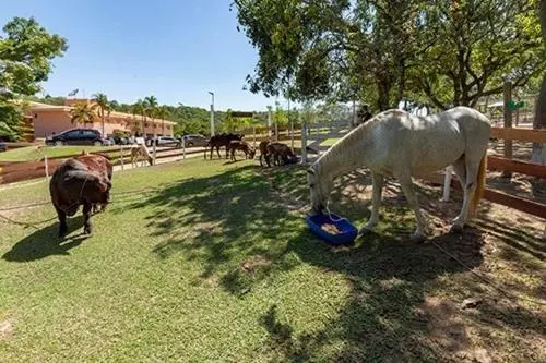 ホテル Fazenda Brisa Itu