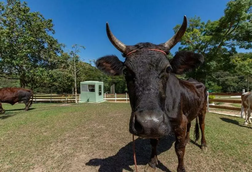 ホテル Fazenda Brisa Itu