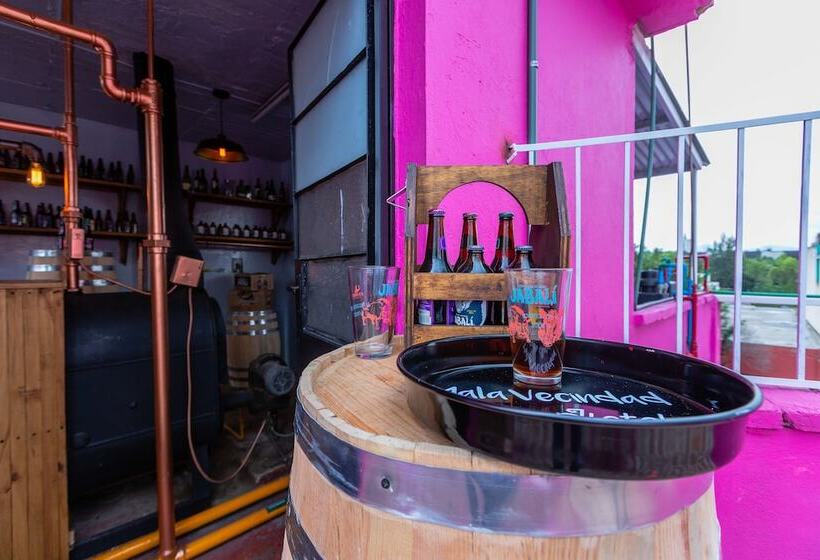 Отель Mala Vecindad Beer