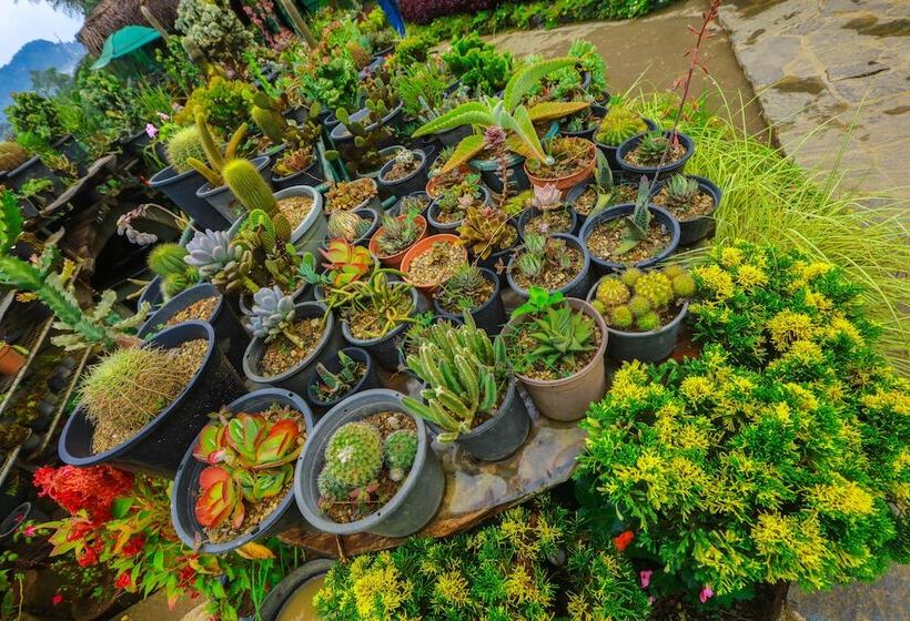 Ella Flower Garden Resort