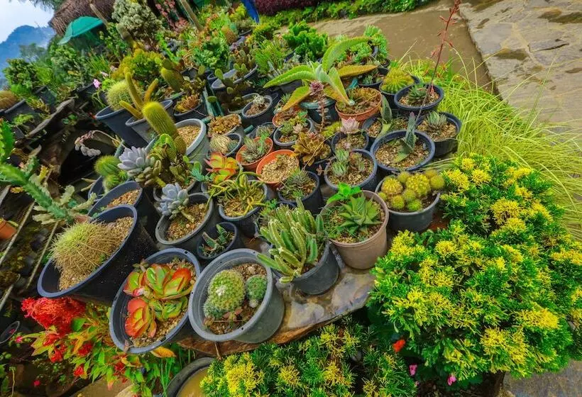 Ella Flower Garden Resort