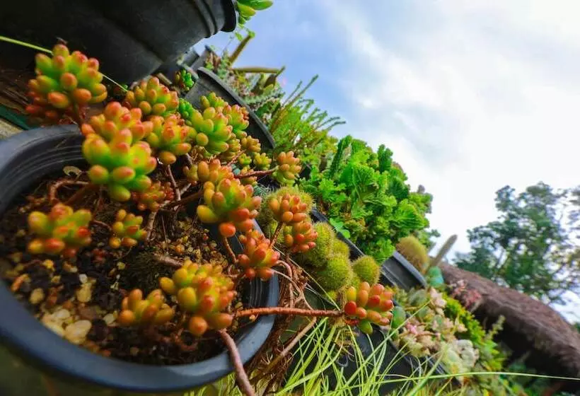 Ella Flower Garden Resort