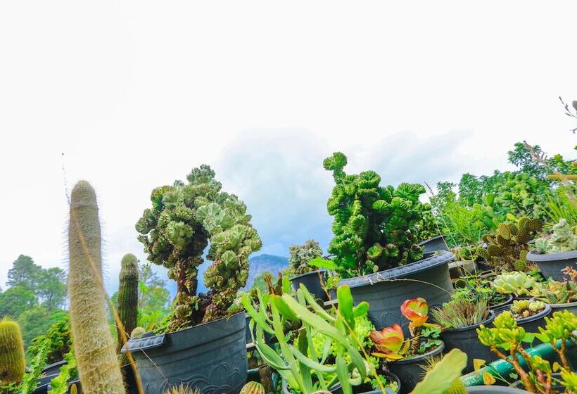 Ella Flower Garden Resort