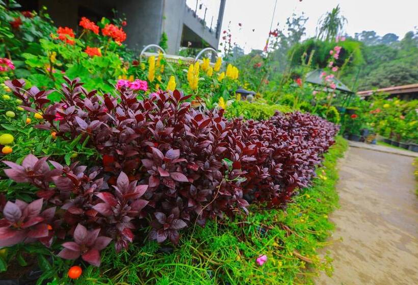 Ella Flower Garden Resort