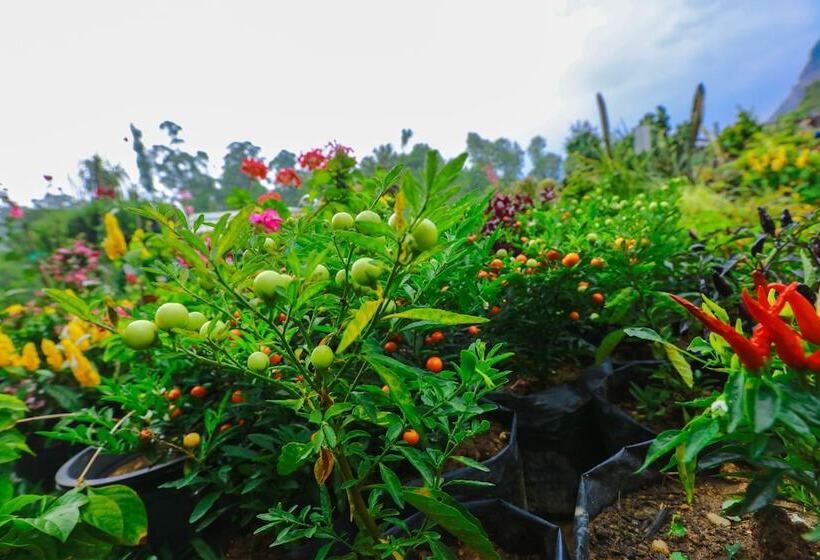 Ella Flower Garden Resort