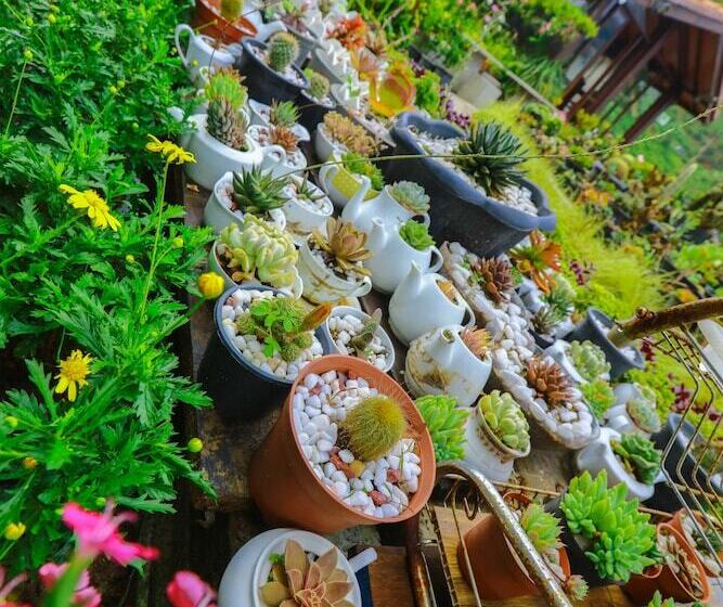 Ella Flower Garden Resort