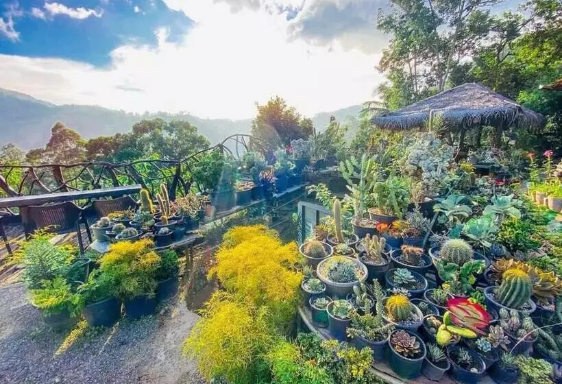 Ella Flower Garden Resort