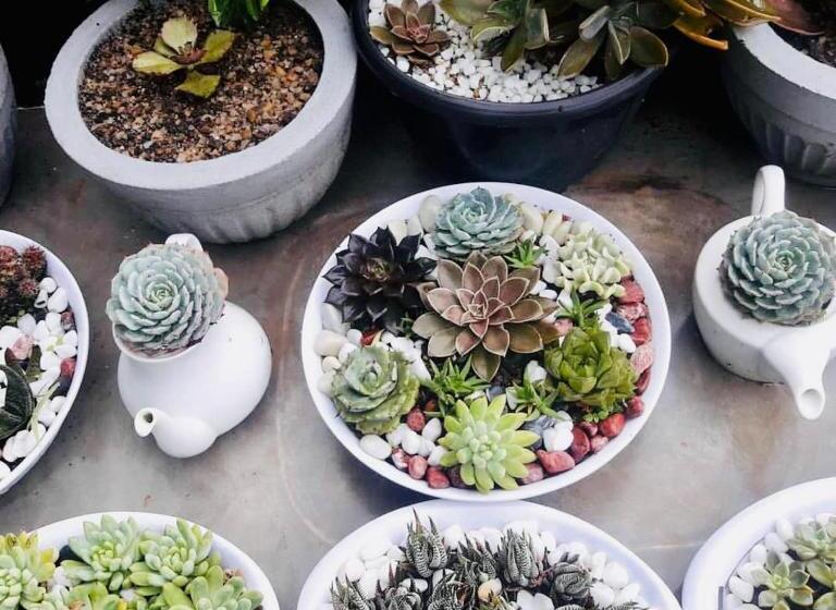 Ella Flower Garden Resort