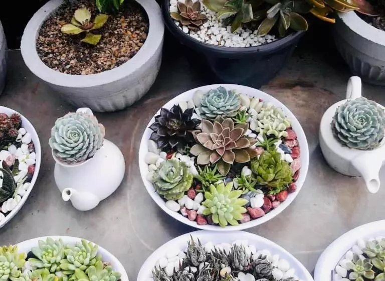 Ella Flower Garden Resort