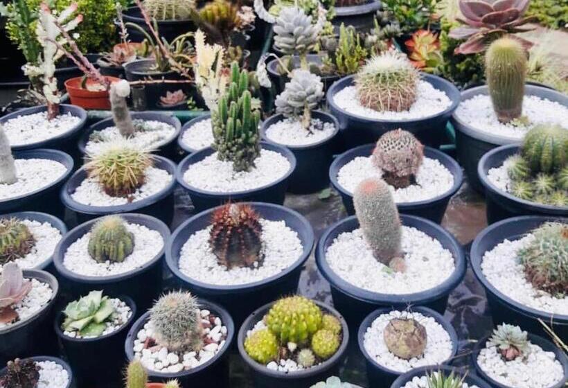 Ella Flower Garden Resort