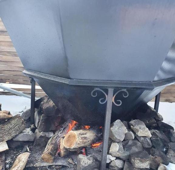 Пансион Herzen House