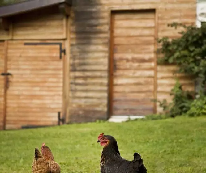 ベッドアンドブレックファースト La Ferme De Noémie