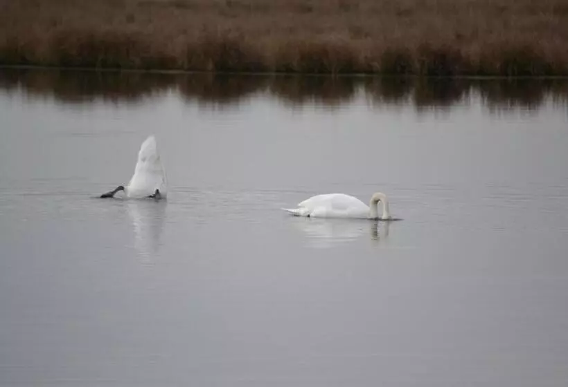 Hotel Auberge De Moerse Hoeve