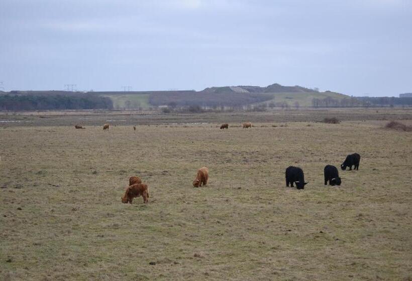 בית מלון כפרי Auberge De Moerse Hoeve