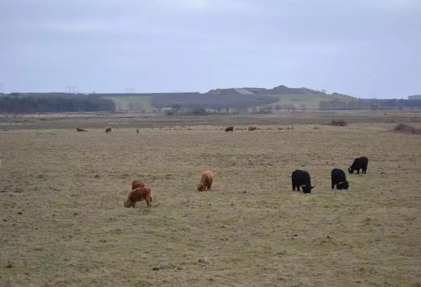 Hotel Auberge De Moerse Hoeve