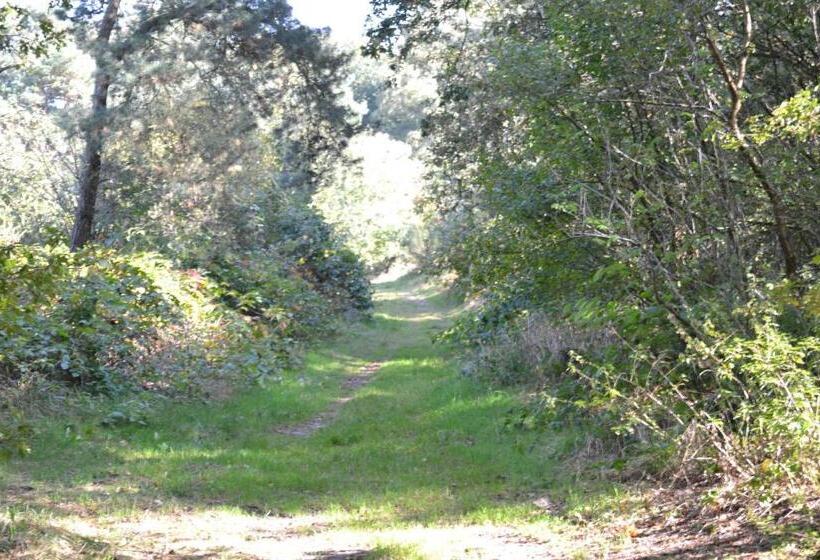 בית מלון כפרי Auberge De Moerse Hoeve