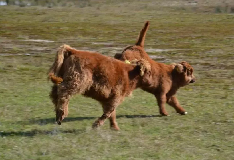Hotel Auberge De Moerse Hoeve