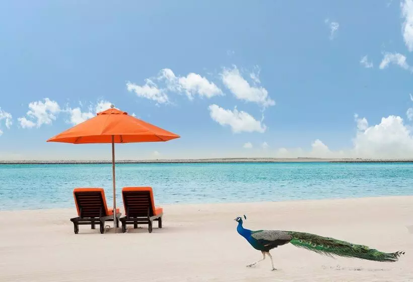 Ja The Resort   Ja Lake View Hotel, Dubai