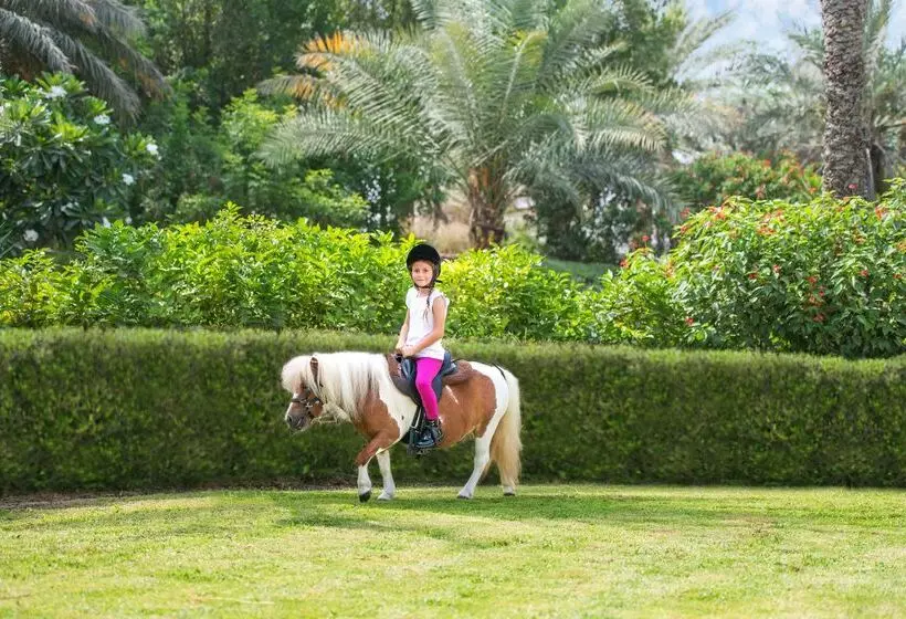 Ja The Resort   Ja Lake View Hotel, Dubai