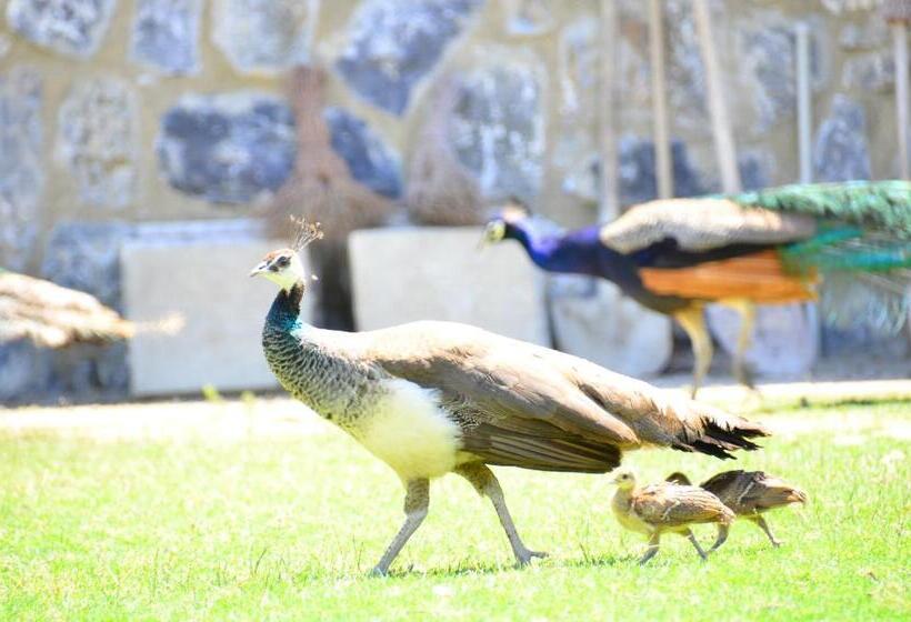 호텔 Pine Club Apart