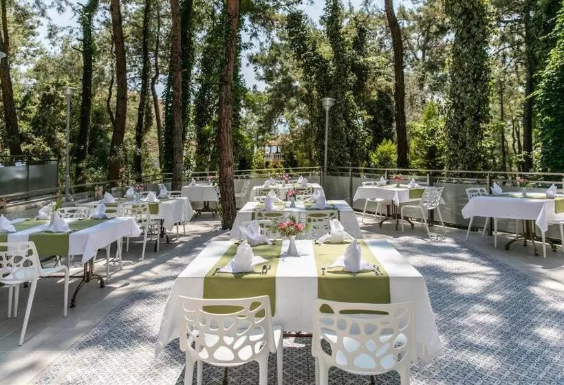 Hotelli Pine Club Apart