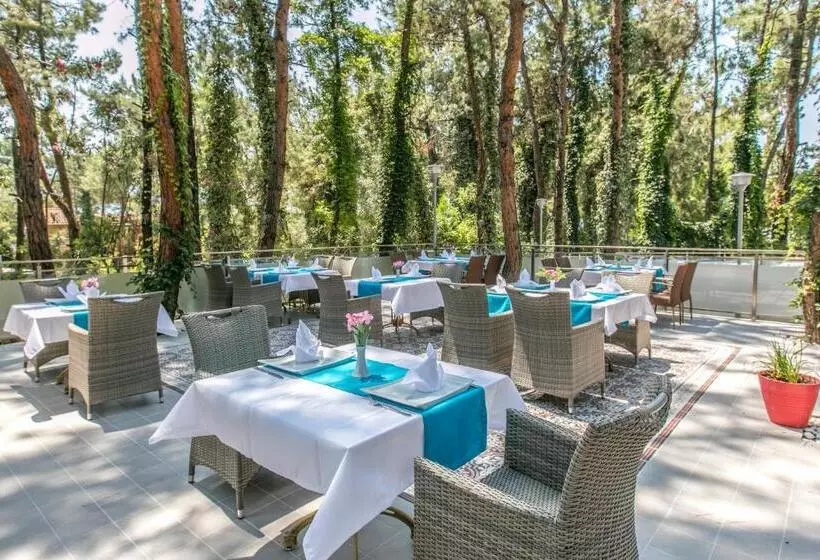 Hotelli Pine Club Apart