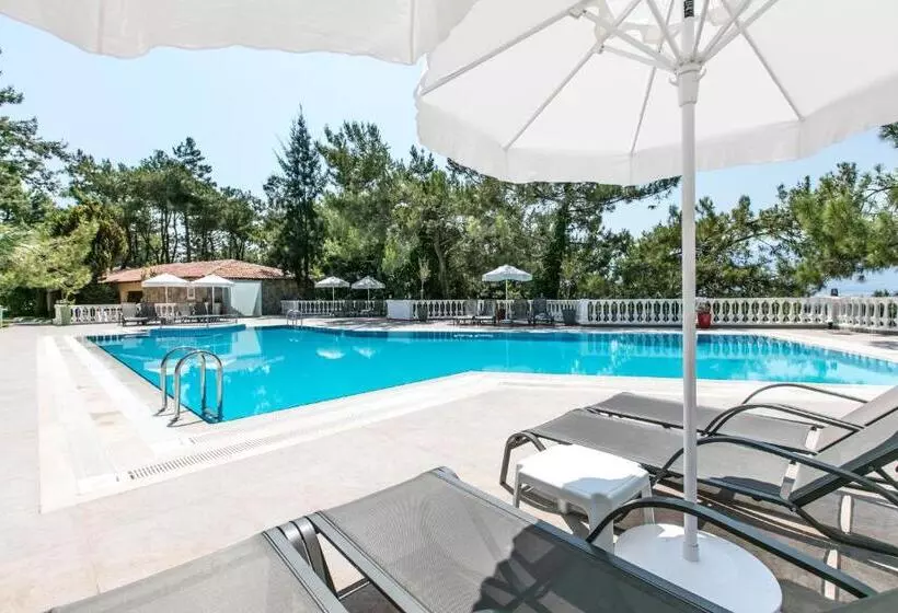 Hotelli Pine Club Apart