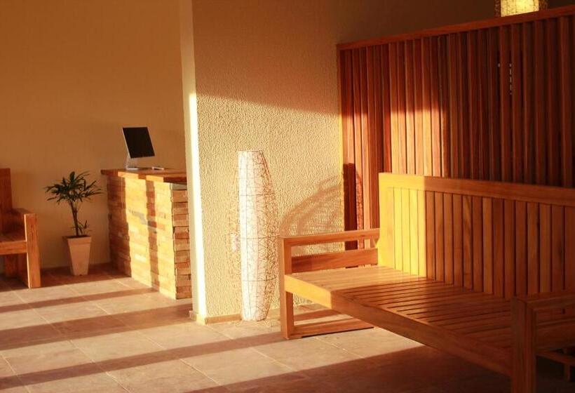 ホテル Pousada Jeri Dunas