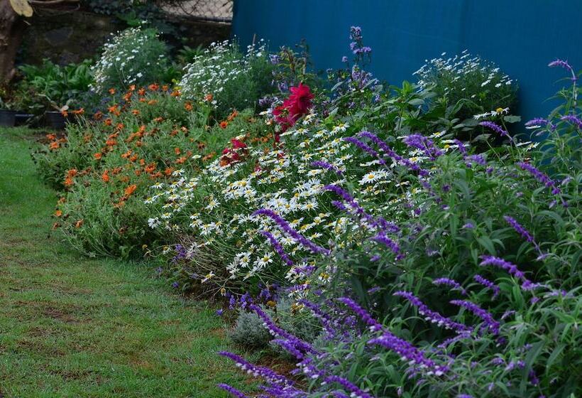 בית מלון כפרי Ripon Grand Hill By Ehi