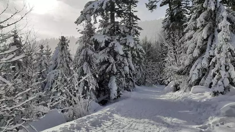 پانسیون Le Domaine De Pairis