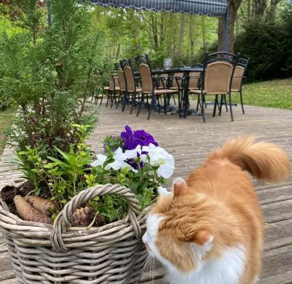ペンション Le Domaine De Pairis