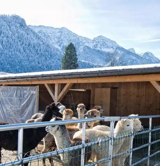 Pension Restner