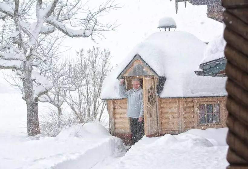 Pension Restner