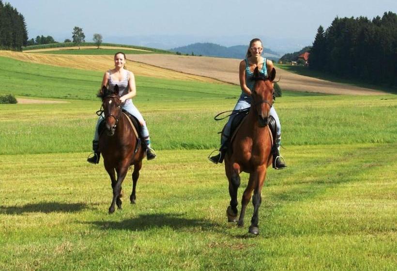 Sportpension Ramlhof