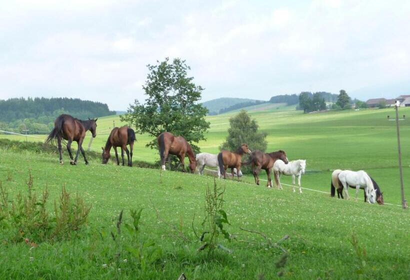 Sportpension Ramlhof