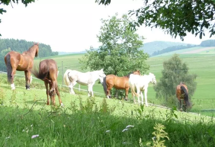 Sportpension Ramlhof