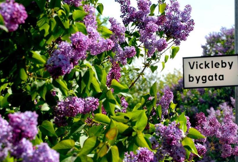 הוסטל Stf Vickleby Bo Pensionat