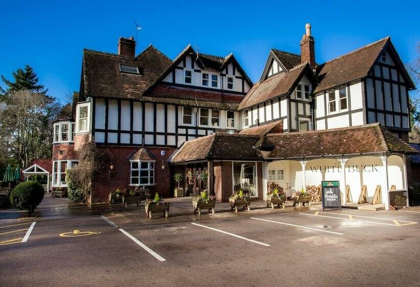 호스텔 The White Buck